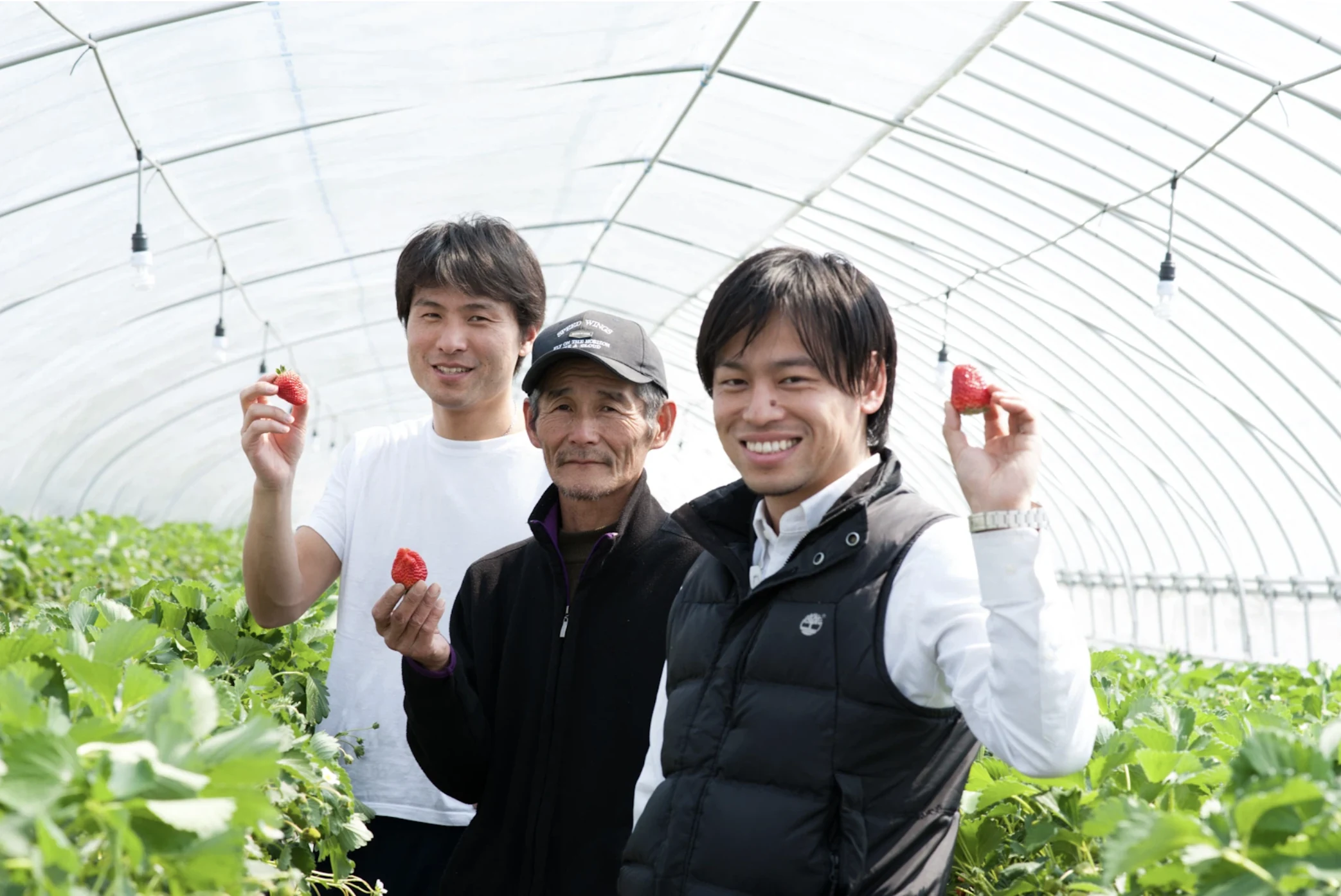 いちご農園でミガキイチゴを手にする共同創業者の橋元洋平さん、橋元忠嗣さん、岩佐大輝さん